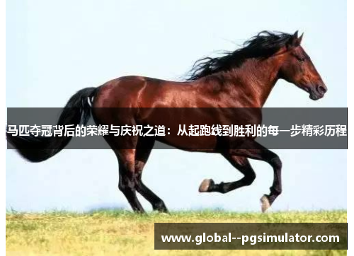 马匹夺冠背后的荣耀与庆祝之道：从起跑线到胜利的每一步精彩历程